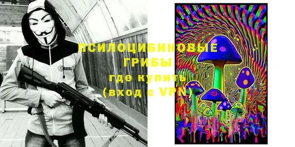 мдпв Дмитровск