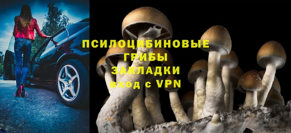 марки lsd Гусев