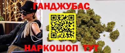 крисы Малгобек