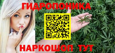 крисы Малгобек