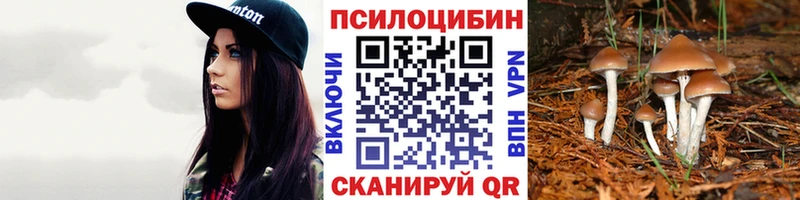 купить закладку  Добрянка  МЕГА ссылка  Псилоцибиновые грибы MAGIC MUSHROOMS 