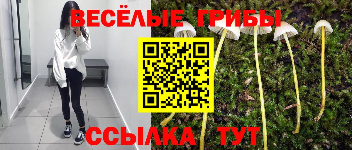 Псилоцибиновые грибы мухоморы Добрянка