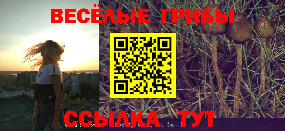 Добрянка  Псилоцибиновые грибы Cubensis  Псилоцибиновые грибы Magic Shrooms  Вход с VPN 